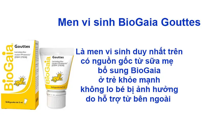 6-66.webp